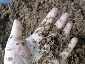 濃香型酒糟擠壓脫水，為您的生產(chǎn)提供解決方案！